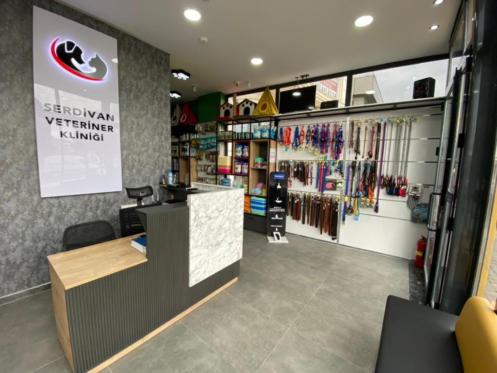 WhatsApp Image 2025-04-28 at 21.26.47