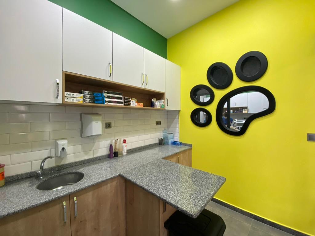 WhatsApp Image 2025-04-28 at 21.26.48