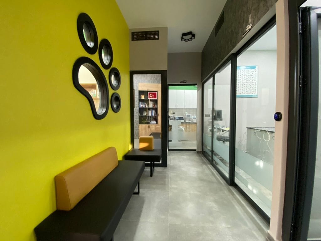 WhatsApp Image 2025-04-28 at 21.27.51